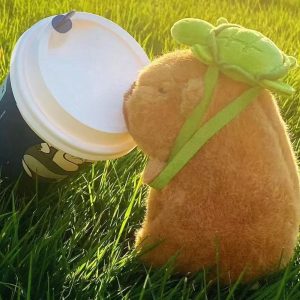 Cute Turtle Backpack with Capybara Plush